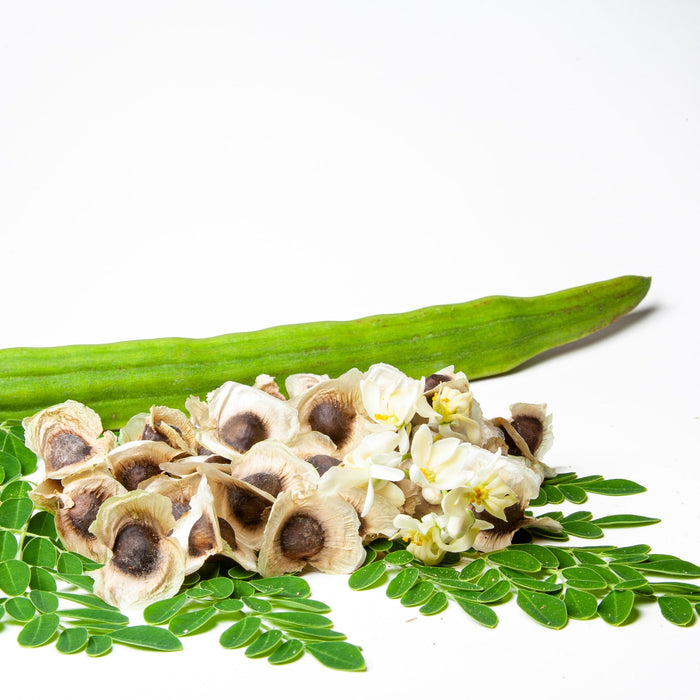 The Many Benefits of Moringa