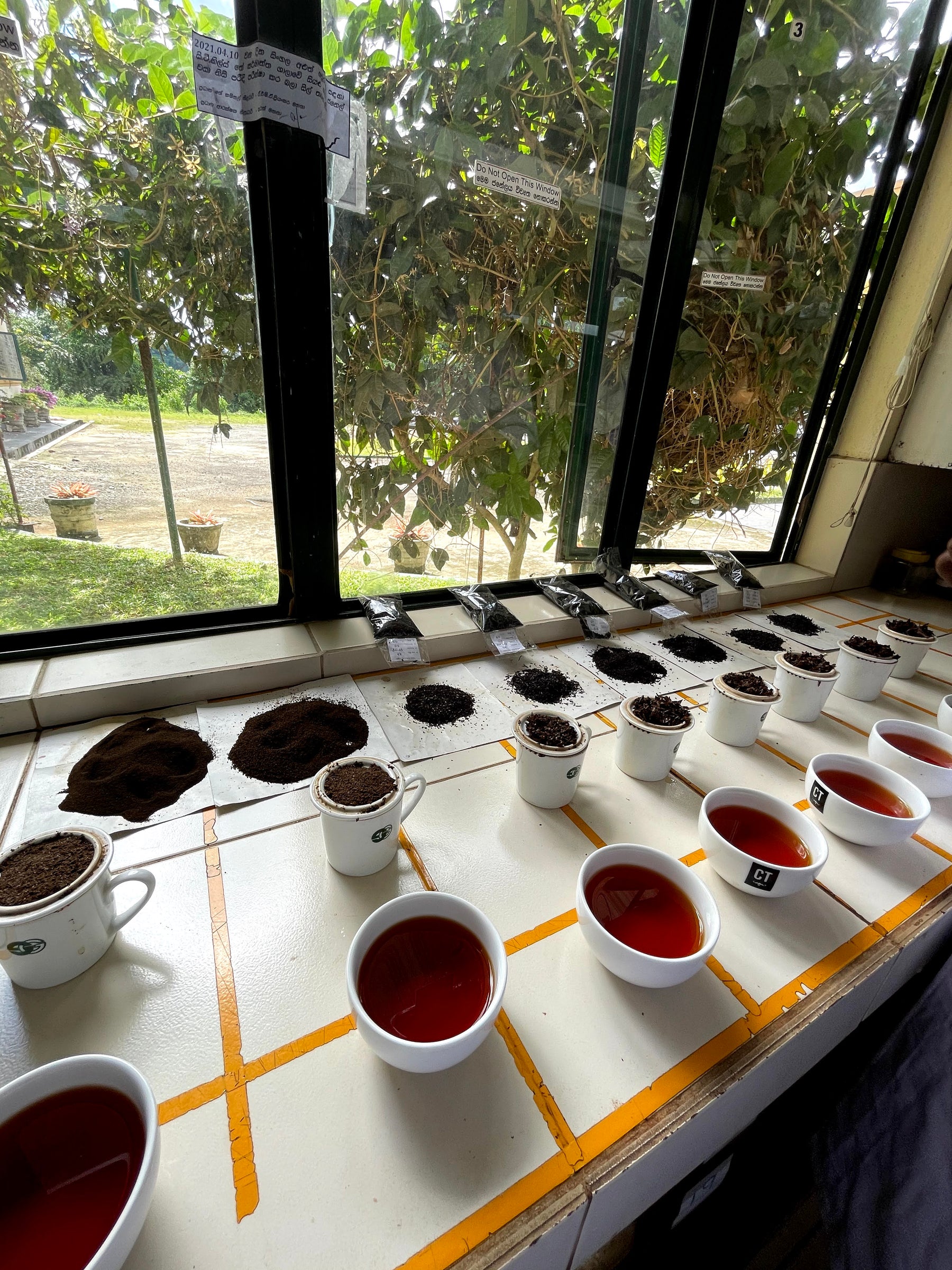 Cups of Ceylon tea in front of corresponding loose leaf tea in Sri Lanka
